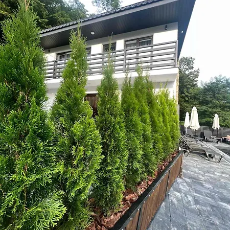 Ступарі-2